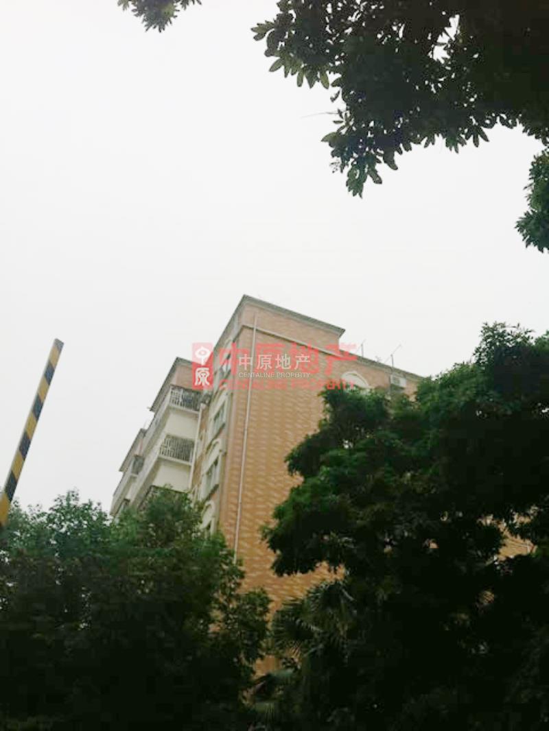 全部小区 南山 蛇口 千叶苑图片