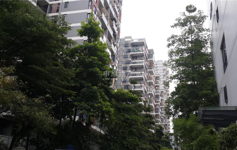 金地梅陇镇一期(金地梅陇镇花园一期)