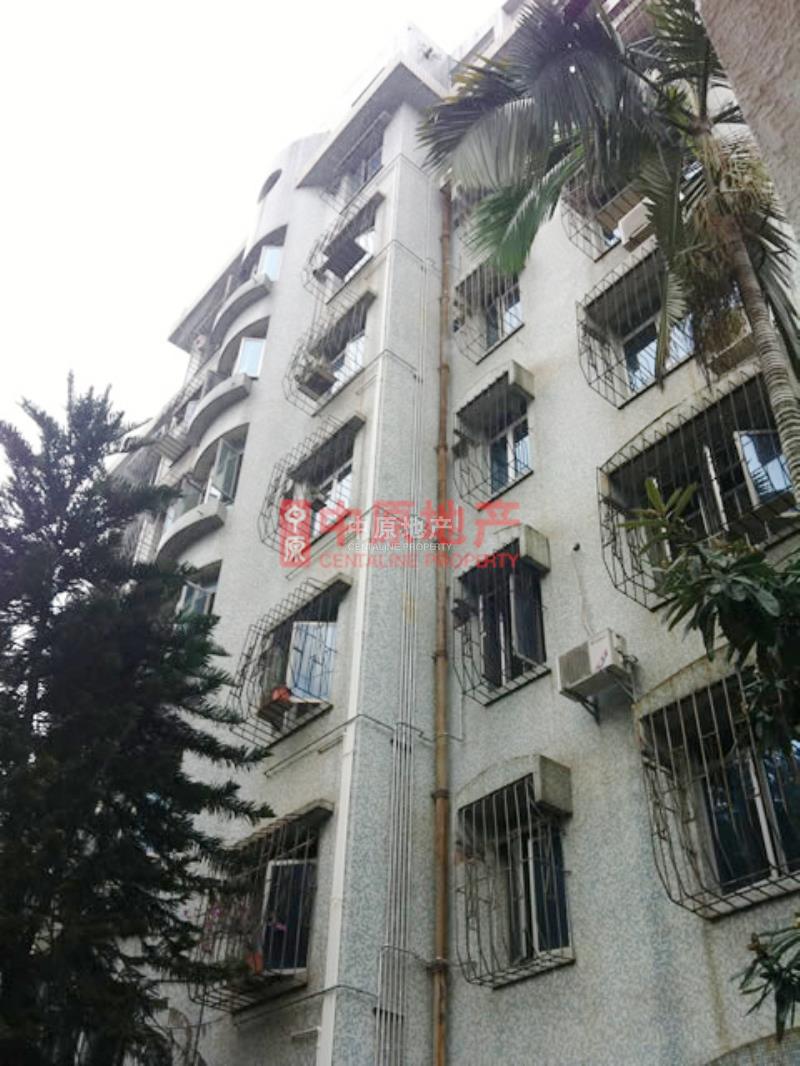 全部小区 南山 蛇口 千叶苑图片